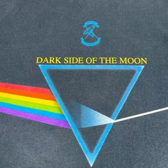 Vintage Mens Pink Floyd Dark Side Of The Moon Graphic T-Shirt Black Anvil L - Picture 8 of 12